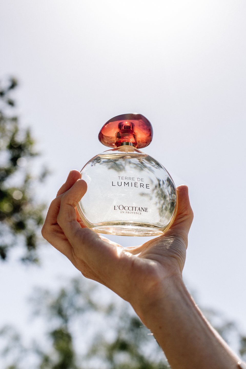L'Occitane Terre De Lumière is a scent that will transport you to Provence.